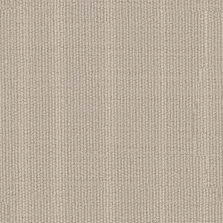 Anderson Tuftex Laine — Sand Dollar · ZZ361-00102 — flooring selection with LeviArs Design & Remodeling