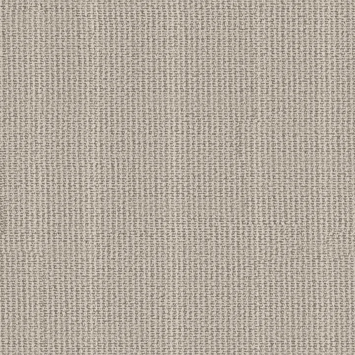 Anderson Tuftex Laine — Seagull · ZZ361-00107 — flooring selection with LeviArs Design & Remodeling