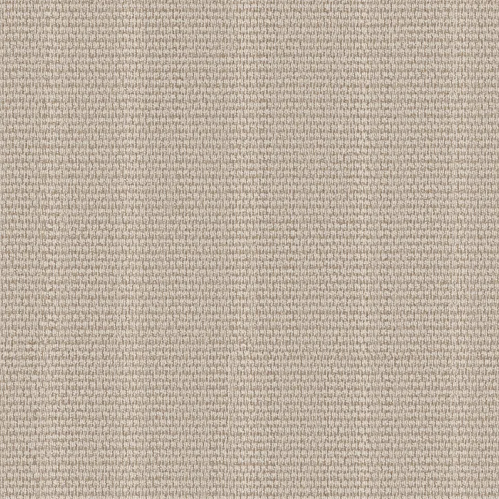 Anderson Tuftex Laine — Wind Swept · ZZ361-00104 — flooring selection with LeviArs Design & Remodeling