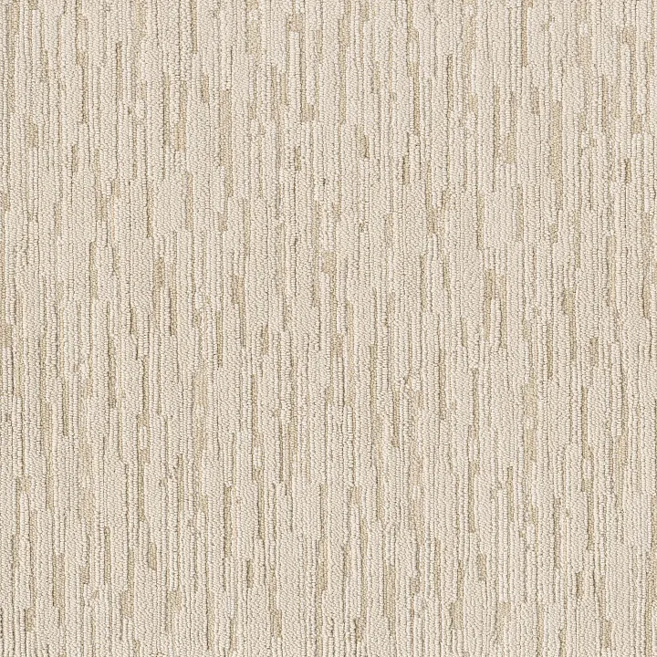 Anderson Tuftex Loom — Canvas · ZZ360-00101 — flooring selection with LeviArs Design & Remodeling