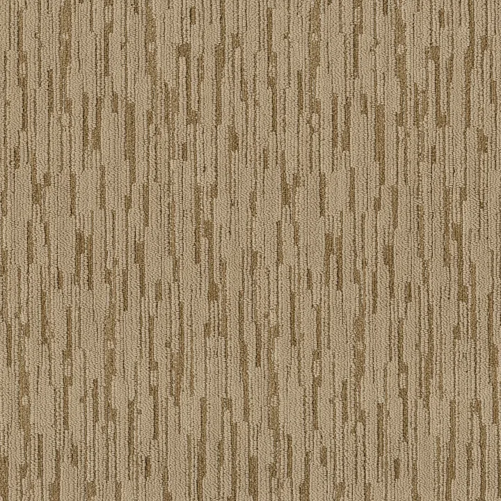 Anderson Tuftex Loom — Pocket Watch · ZZ360-00701 — flooring selection with LeviArs Design & Remodeling