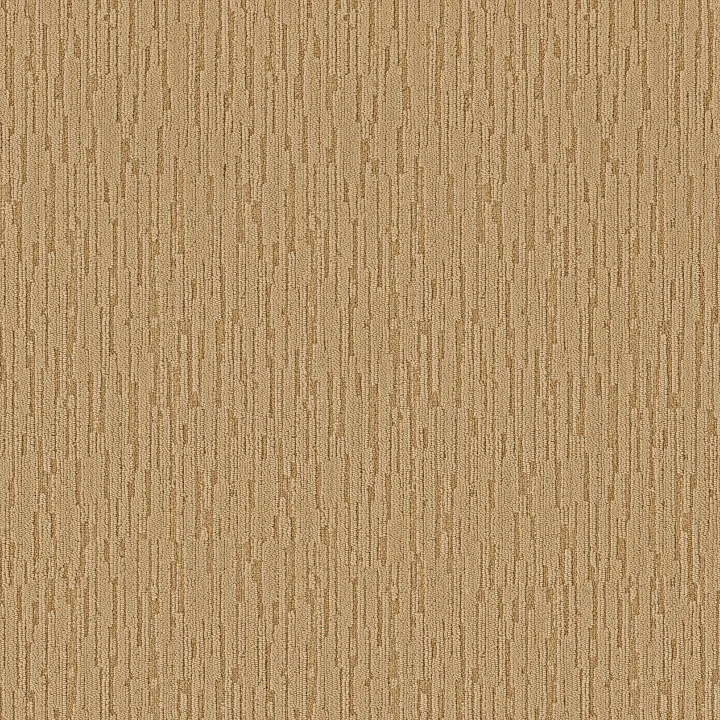 Anderson Tuftex Loom — Radiance · ZZ360-00201 — flooring selection with LeviArs Design & Remodeling
