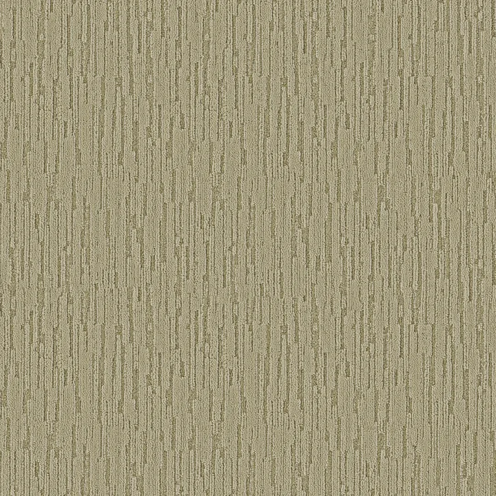Anderson Tuftex Loom — Sprout · ZZ360-00300 — flooring selection with LeviArs Design & Remodeling