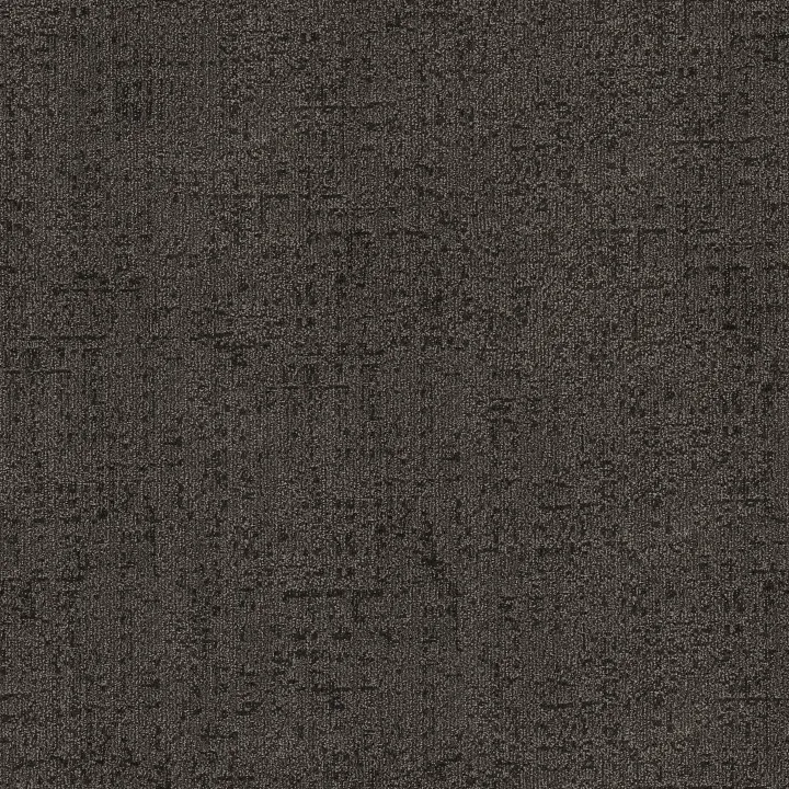 Anderson Tuftex Lumen — Blur · ZZ401-00502 — flooring selection with LeviArs Design & Remodeling