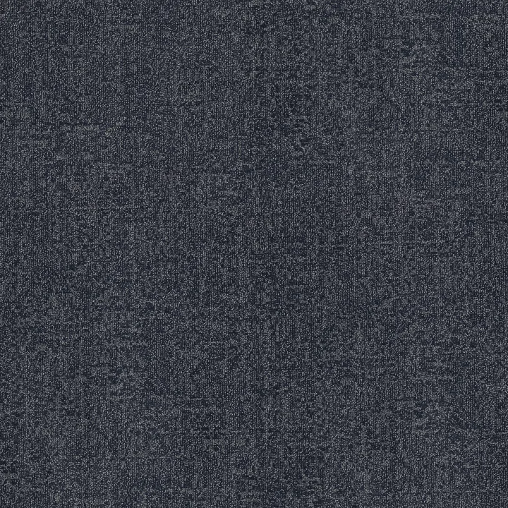 Anderson Tuftex Lumen — Diffuse · ZZ401-00401 — flooring selection with LeviArs Design & Remodeling