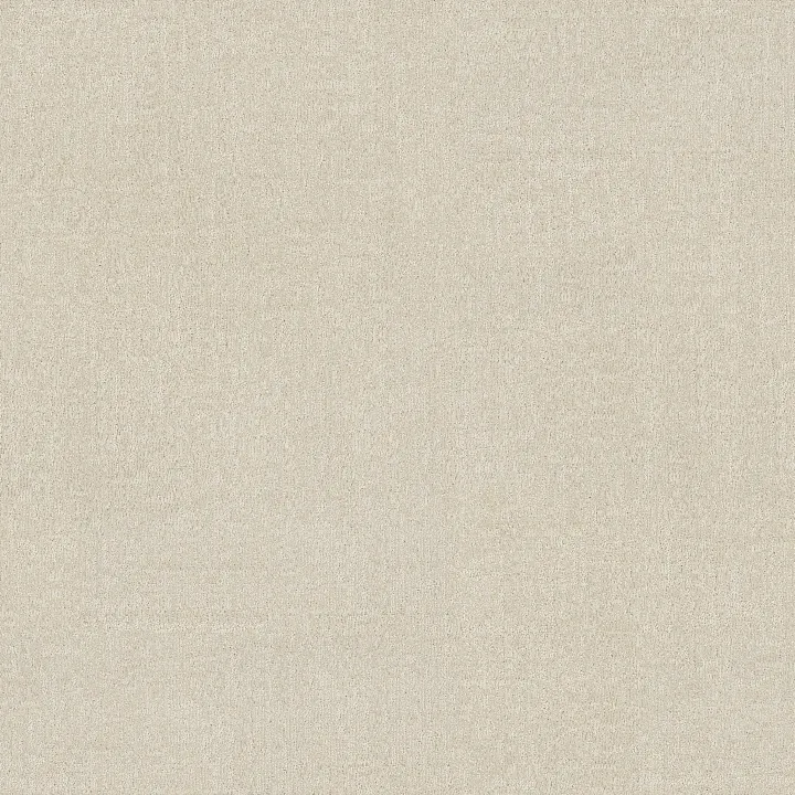 Anderson Tuftex Lumen — Lucent · ZZ401-00101 — flooring selection with LeviArs Design & Remodeling