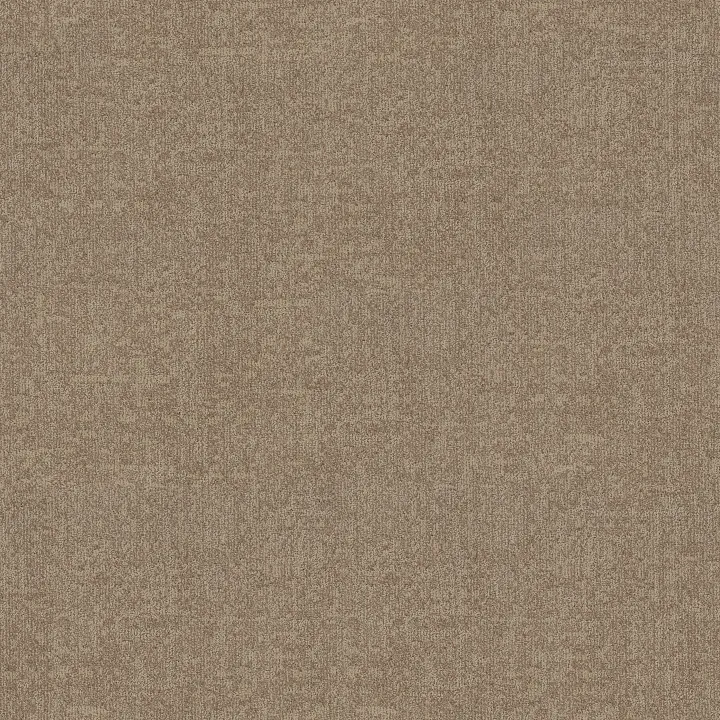 Anderson Tuftex Lumen — Midtone · ZZ401-00700 — flooring selection with LeviArs Design & Remodeling