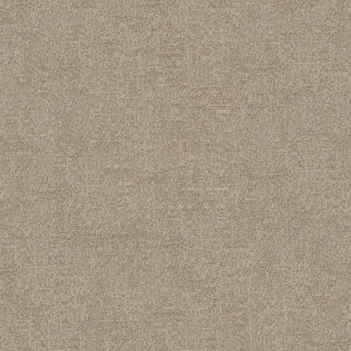 Anderson Tuftex Lumen — Softlight · ZZ401-00108 — flooring selection with LeviArs Design & Remodeling