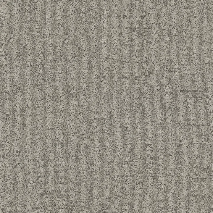 Anderson Tuftex Lumen — Vignette · ZZ401-00114 — flooring selection with LeviArs Design & Remodeling