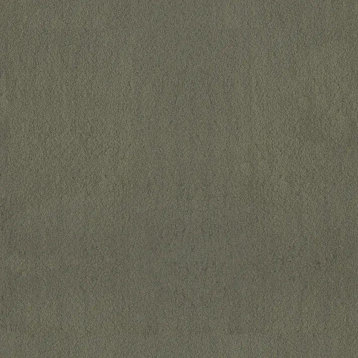 Anderson Tuftex Luxe Feel I — Bonsai · ZZ321-00342 — flooring selection with LeviArs Design & Remodeling