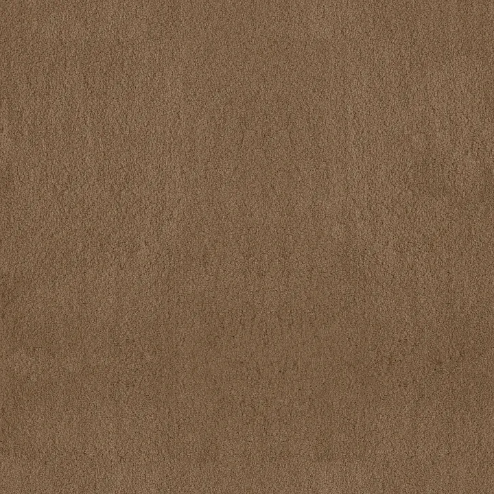 Anderson Tuftex Luxe Feel I — Dried Chamomile · ZZ321-00740 — flooring selection with LeviArs Design & Remodeling