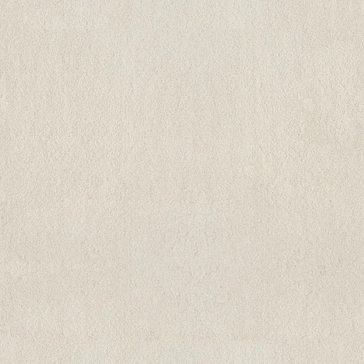 Anderson Tuftex Luxe Feel I — Fresh Cream · ZZ321-00121 — flooring selection with LeviArs Design & Remodeling