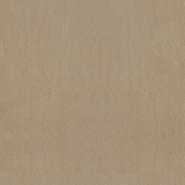 Anderson Tuftex Luxe Feel I — Gentle Doe · ZZ321-00128 — flooring selection with LeviArs Design & Remodeling
