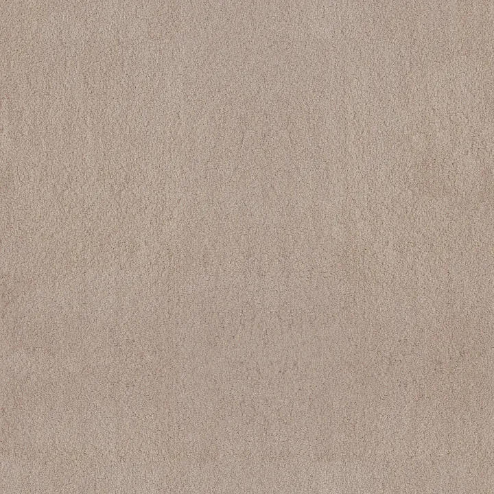 Anderson Tuftex Luxe Feel I — Harvest Moon · ZZ321-00126 — flooring selection with LeviArs Design & Remodeling