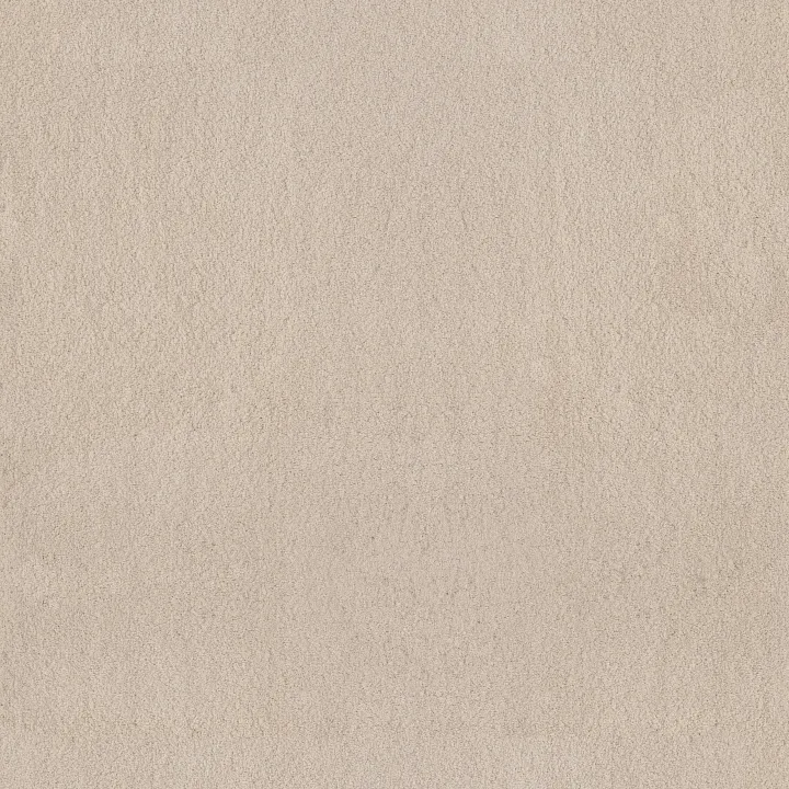Anderson Tuftex Luxe Feel I — Heirloom · ZZ321-00122 — flooring selection with LeviArs Design & Remodeling