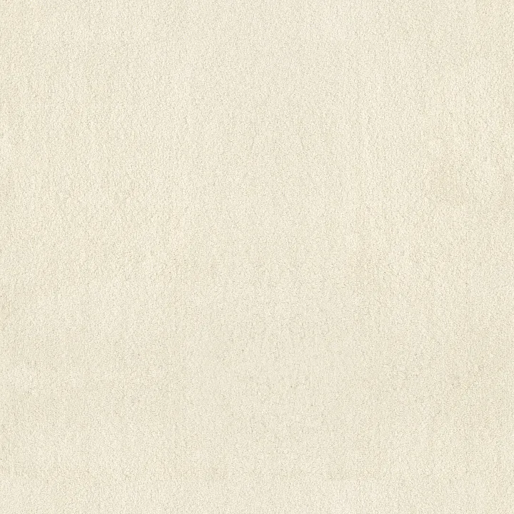 Anderson Tuftex Luxe Feel I — Icelandic · ZZ321-00100 — flooring selection with LeviArs Design & Remodeling