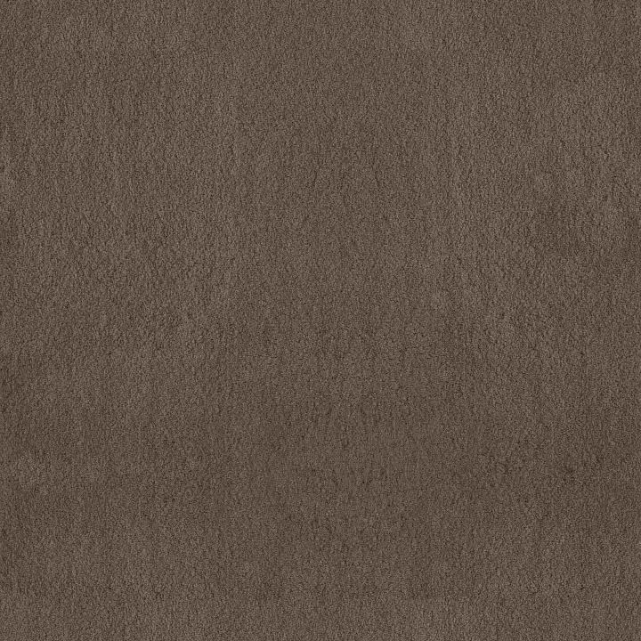 Anderson Tuftex Luxe Feel I — Mesquite · ZZ321-00724 — flooring selection with LeviArs Design & Remodeling