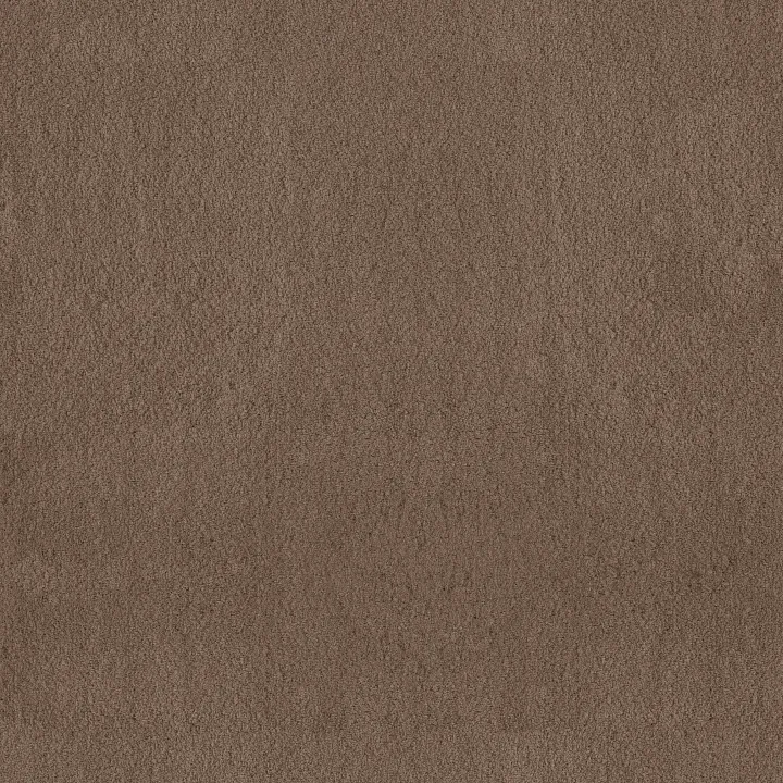 Anderson Tuftex Luxe Feel I — Pebble Path · ZZ321-00722 — flooring selection with LeviArs Design & Remodeling