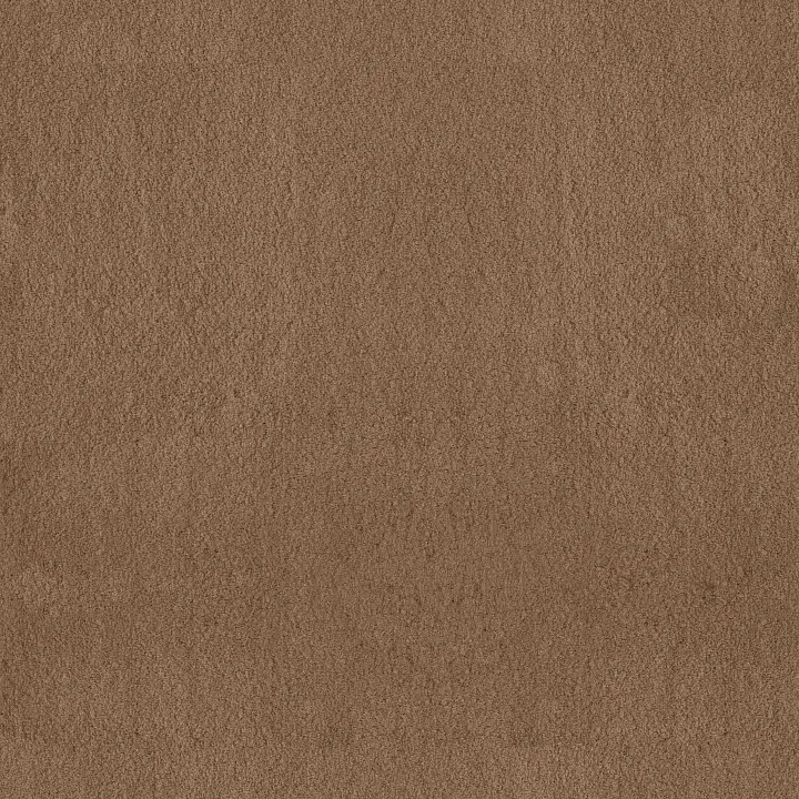 Anderson Tuftex Luxe Feel I — Radiance · ZZ321-00240 — flooring selection with LeviArs Design & Remodeling