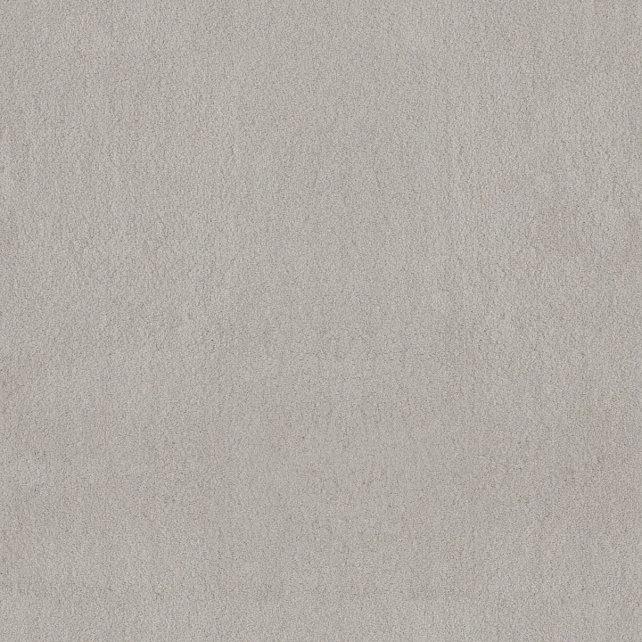 Anderson Tuftex Luxe Feel I — Silver Lining · ZZ321-00123 — flooring selection with LeviArs Design & Remodeling