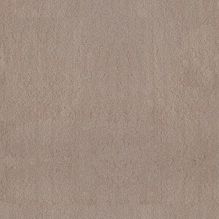 Anderson Tuftex Luxe Feel I — White Pine · ZZ321-00720 — flooring selection with LeviArs Design & Remodeling