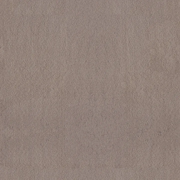 Anderson Tuftex Luxe Feel II — Atlantic · ZZ322-00523 — flooring selection with LeviArs Design & Remodeling