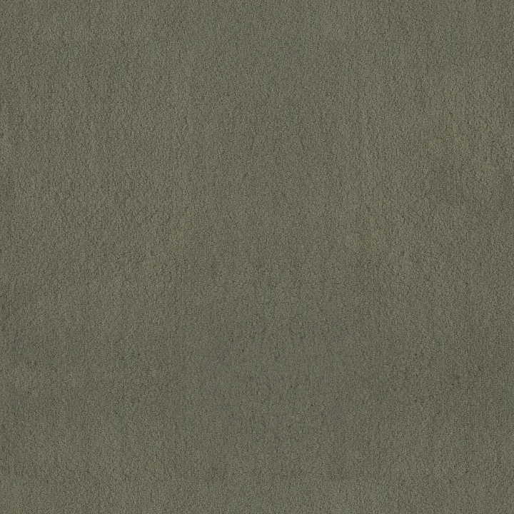 Anderson Tuftex Luxe Feel II — Bonsai · ZZ322-00342 — flooring selection with LeviArs Design & Remodeling