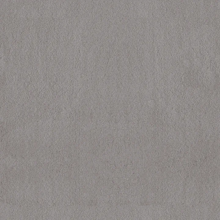 Anderson Tuftex Luxe Feel II — Classic Gray · ZZ322-00541 — flooring selection with LeviArs Design & Remodeling