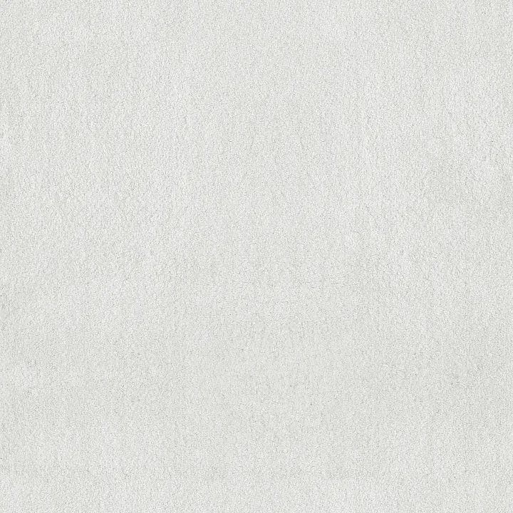 Anderson Tuftex Luxe Feel II — Crisp · ZZ322-00120 — flooring selection with LeviArs Design & Remodeling