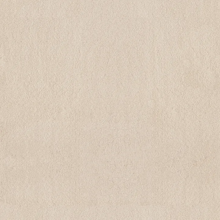 Anderson Tuftex Luxe Feel II — Divine · ZZ322-00140 — flooring selection with LeviArs Design & Remodeling