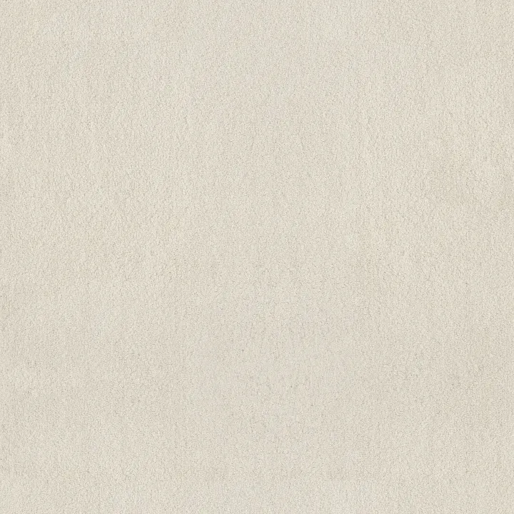 Anderson Tuftex Luxe Feel II — Fresh Cream · ZZ322-00121 — flooring selection with LeviArs Design & Remodeling