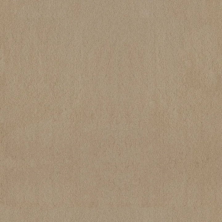 Anderson Tuftex Luxe Feel II — Gentle Doe · ZZ322-00128 — flooring selection with LeviArs Design & Remodeling