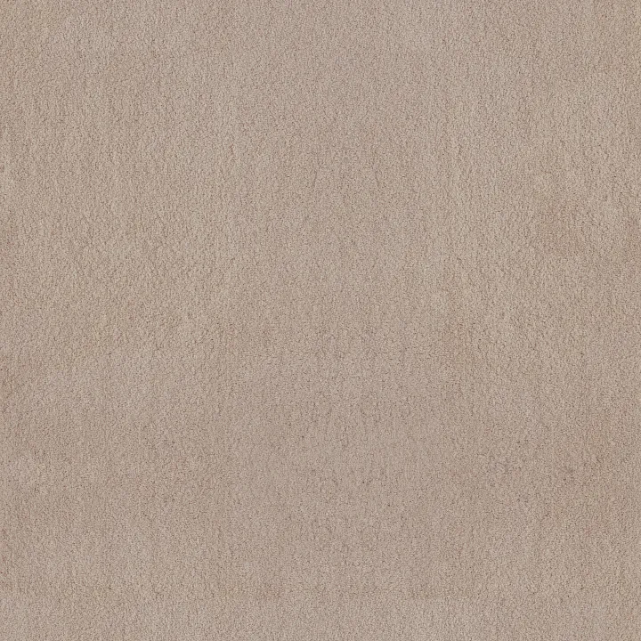 Anderson Tuftex Luxe Feel II — Harvest Moon · ZZ322-00126 — flooring selection with LeviArs Design & Remodeling