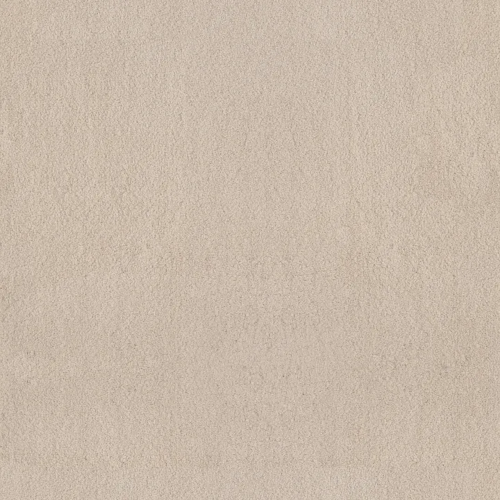 Anderson Tuftex Luxe Feel II — Heirloom · ZZ322-00122 — flooring selection with LeviArs Design & Remodeling