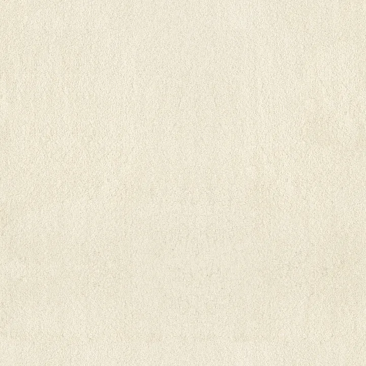 Anderson Tuftex Luxe Feel II — Icelandic · ZZ322-00100 — flooring selection with LeviArs Design & Remodeling