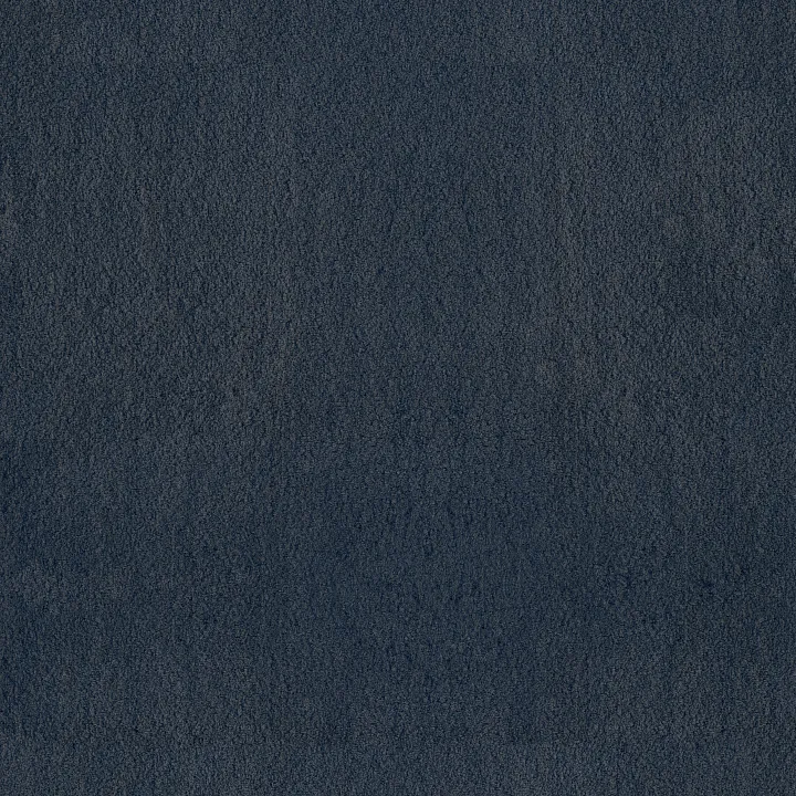 Anderson Tuftex Luxe Feel II — Mariner · ZZ322-00443 — flooring selection with LeviArs Design & Remodeling
