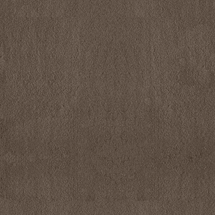 Anderson Tuftex Luxe Feel II — Mesquite · ZZ322-00724 — flooring selection with LeviArs Design & Remodeling