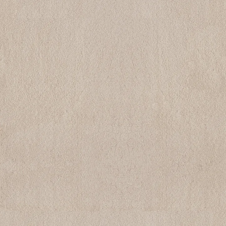 Anderson Tuftex Luxe Feel II — Neutral Ground · ZZ322-00142 — flooring selection with LeviArs Design & Remodeling