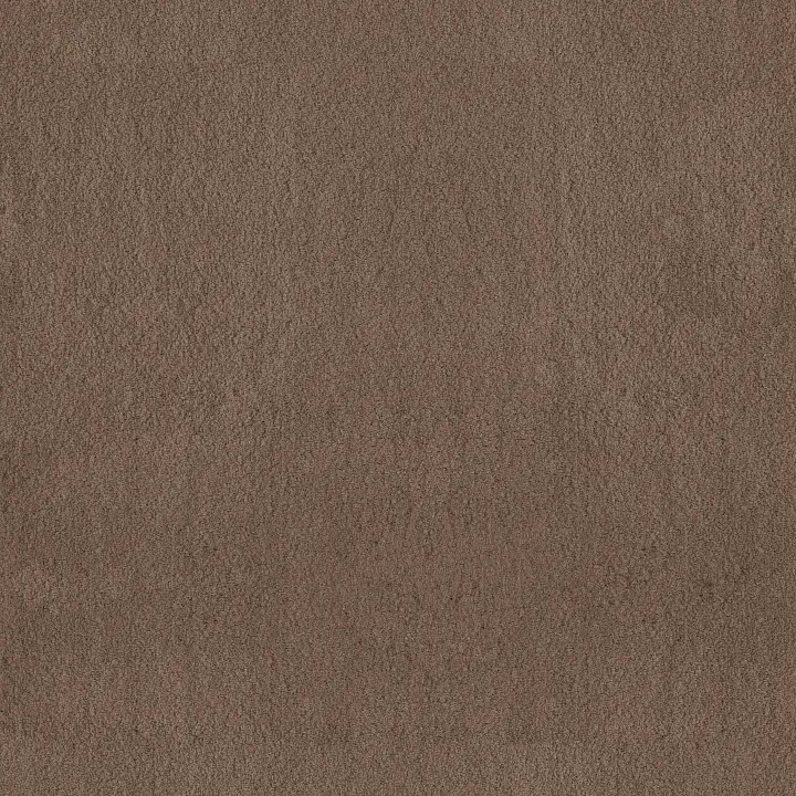 Anderson Tuftex Luxe Feel II — Pebble Path · ZZ322-00722 — flooring selection with LeviArs Design & Remodeling
