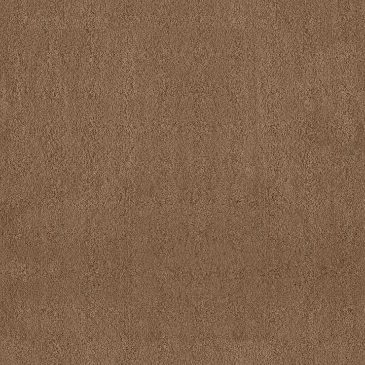 Anderson Tuftex Luxe Feel II — Radiance · ZZ322-00240 — flooring selection with LeviArs Design & Remodeling
