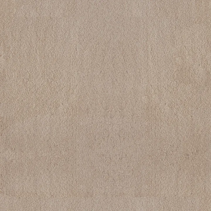 Anderson Tuftex Luxe Feel II — Suede · ZZ322-00127 — flooring selection with LeviArs Design & Remodeling