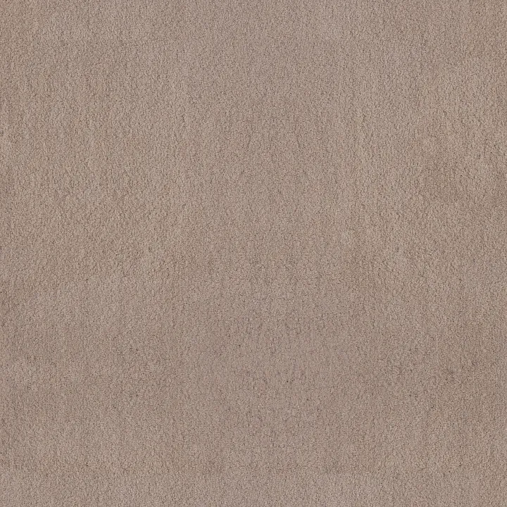 Anderson Tuftex Luxe Feel II — White Pine · ZZ322-00720 — flooring selection with LeviArs Design & Remodeling