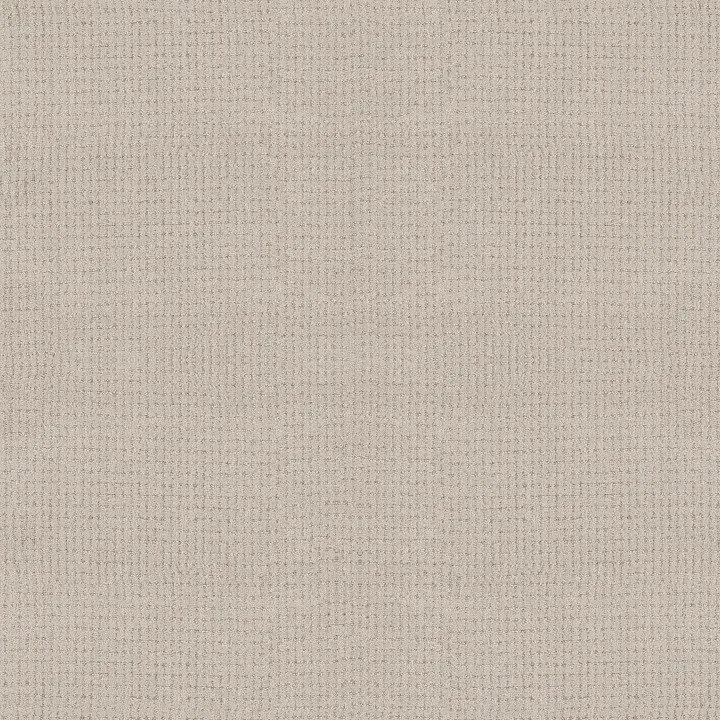 Anderson Tuftex Lyric — Balanced · ZZ257-00121 — flooring selection with LeviArs Design & Remodeling