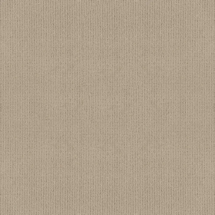 Anderson Tuftex Lyric — Blonde · ZZ257-00122 — flooring selection with LeviArs Design & Remodeling