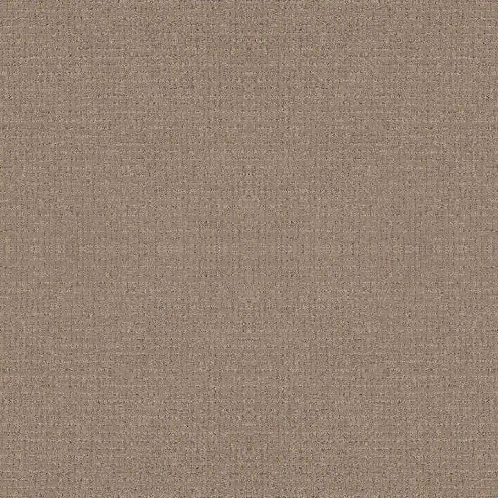 Anderson Tuftex Lyric — Camelback · ZZ257-00673 — flooring selection with LeviArs Design & Remodeling