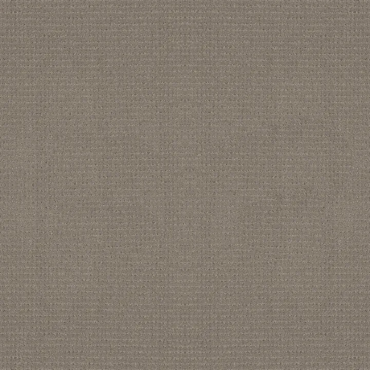 Anderson Tuftex Lyric — Connected · ZZ257-00576 — flooring selection with LeviArs Design & Remodeling
