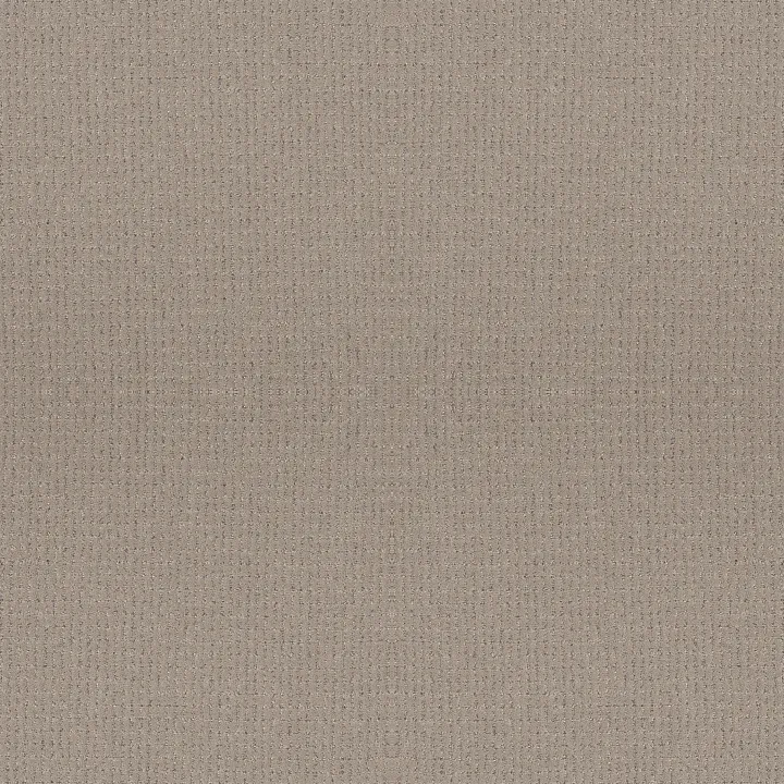 Anderson Tuftex Lyric — Grounded · ZZ257-00753 — flooring selection with LeviArs Design & Remodeling