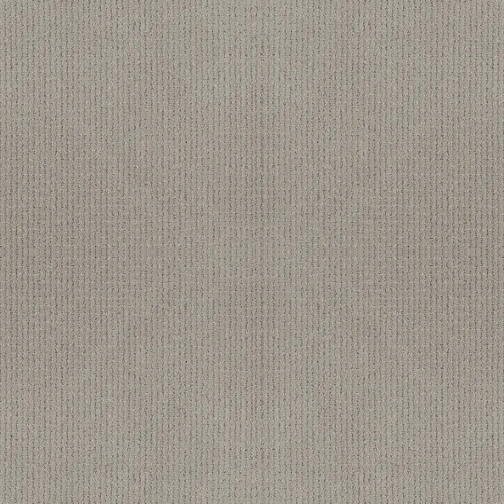 Anderson Tuftex Lyric — Mindful · ZZ257-00572 — flooring selection with LeviArs Design & Remodeling