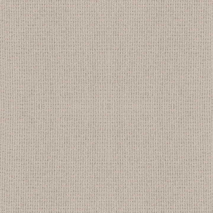 Anderson Tuftex Lyric — Nomadic · ZZ257-00171 — flooring selection with LeviArs Design & Remodeling