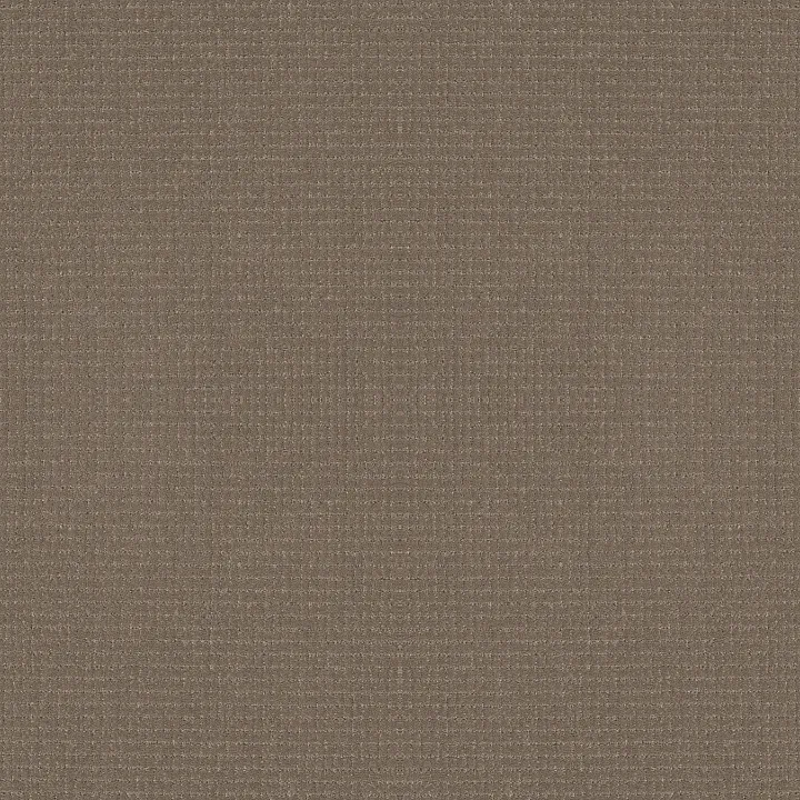 Anderson Tuftex Lyric — Sable · ZZ257-00775 — flooring selection with LeviArs Design & Remodeling